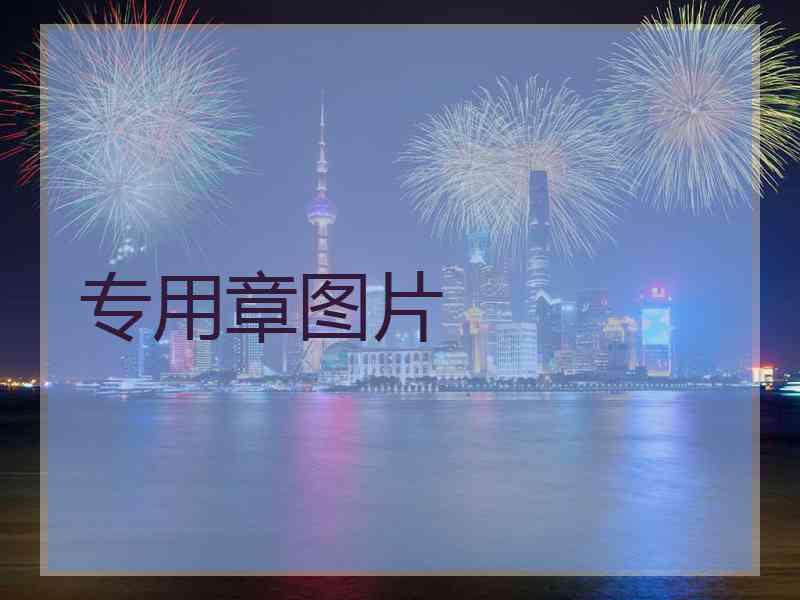 专用章图片
