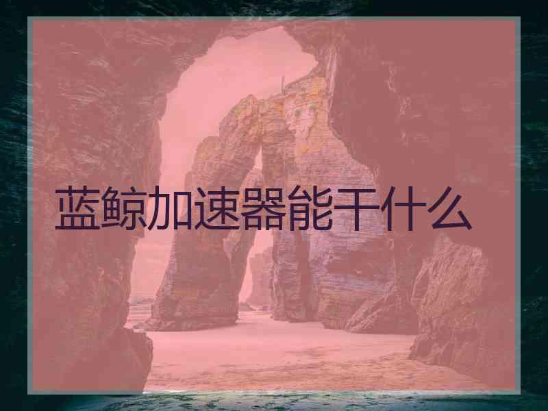 蓝鲸加速器能干什么