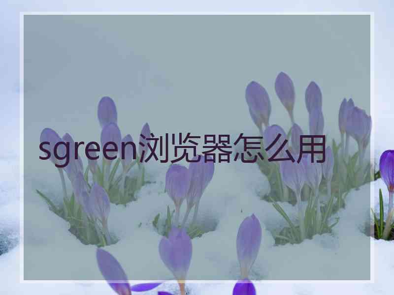 sgreen浏览器怎么用