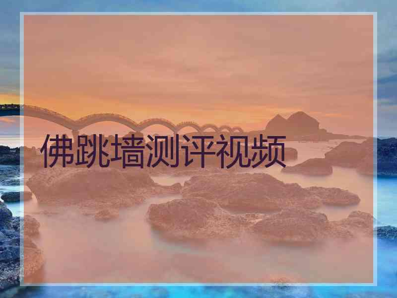 佛跳墙测评视频