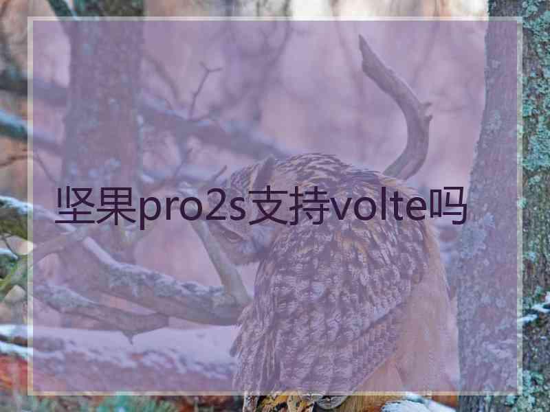 坚果pro2s支持volte吗
