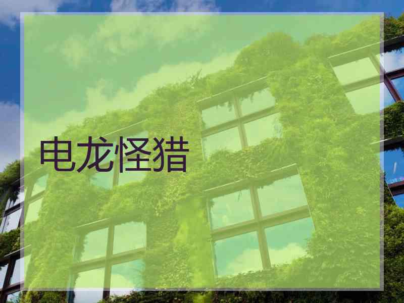 电龙怪猎
