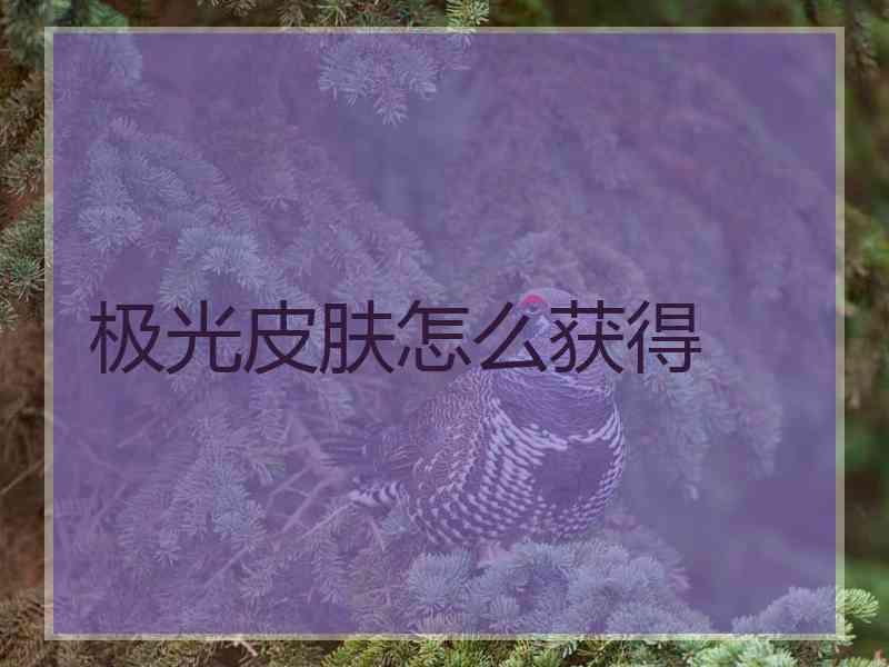 极光皮肤怎么获得