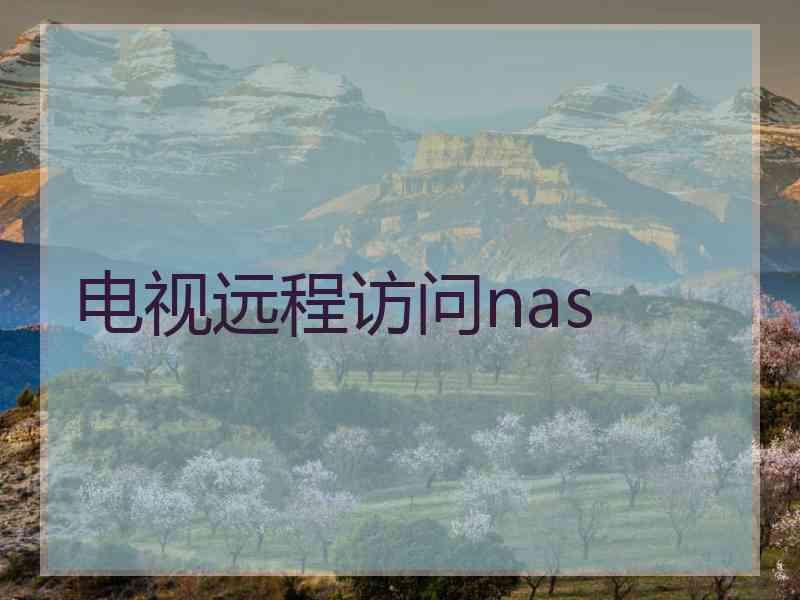 电视远程访问nas