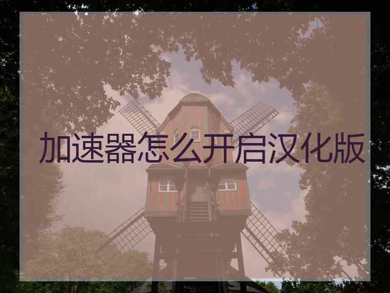 加速器怎么开启汉化版