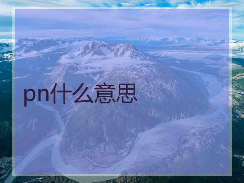 pn什么意思