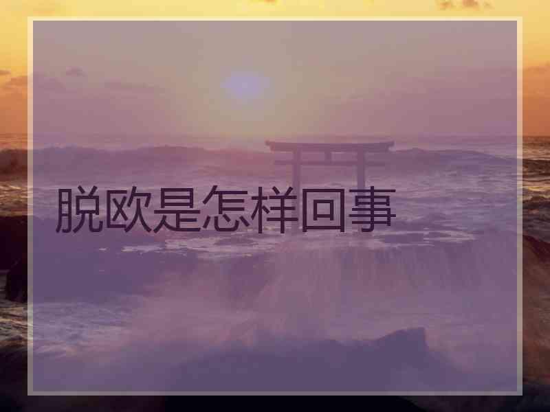 脱欧是怎样回事