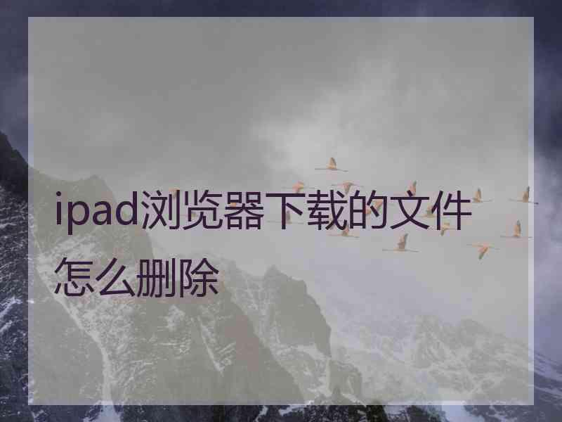 ipad浏览器下载的文件怎么删除