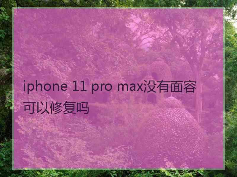 iphone 11 pro max没有面容可以修复吗