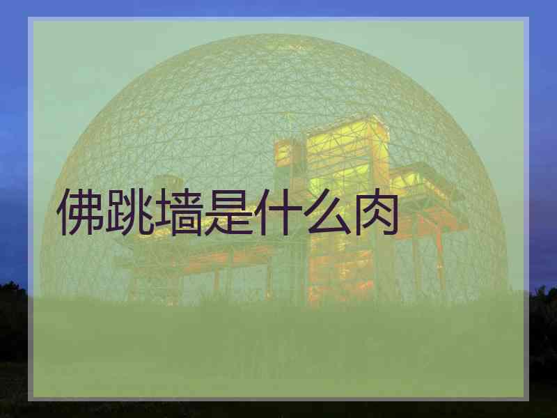 佛跳墙是什么肉
