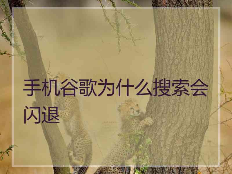 手机谷歌为什么搜索会闪退