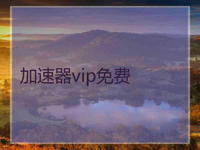 加速器vip免费