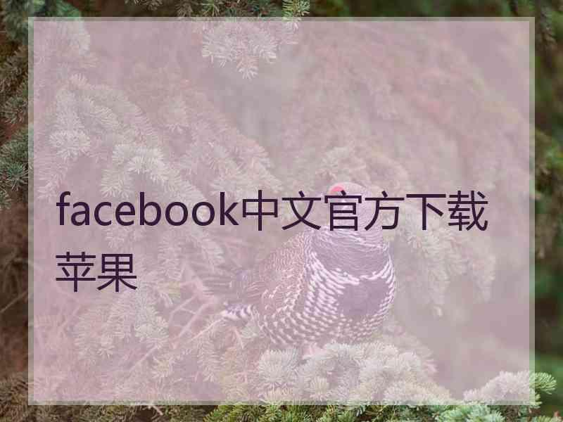 facebook中文官方下载苹果