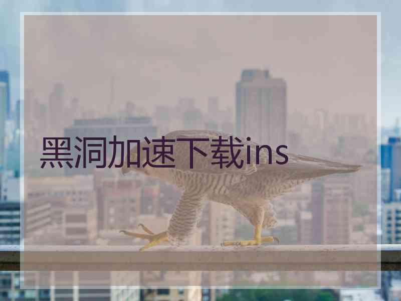 黑洞加速下载ins