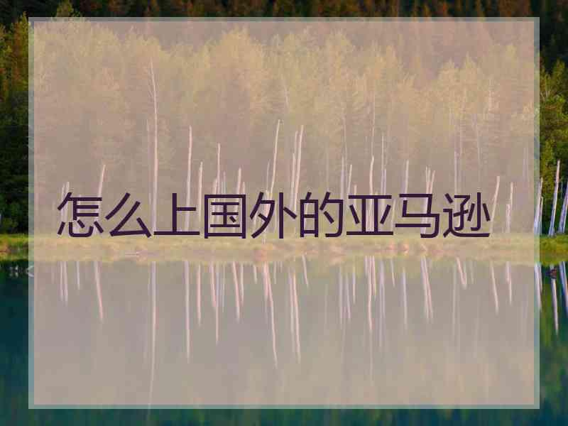 怎么上国外的亚马逊
