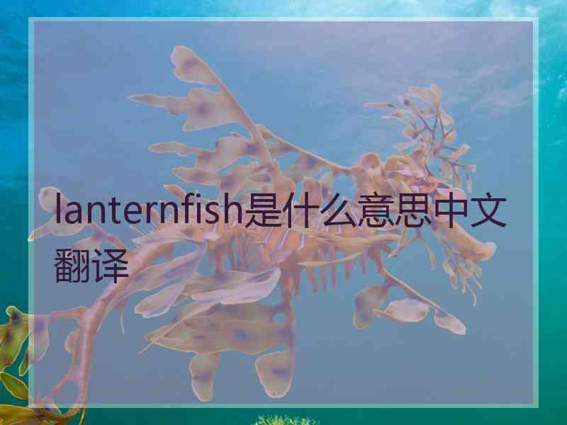 lanternfish是什么意思中文翻译