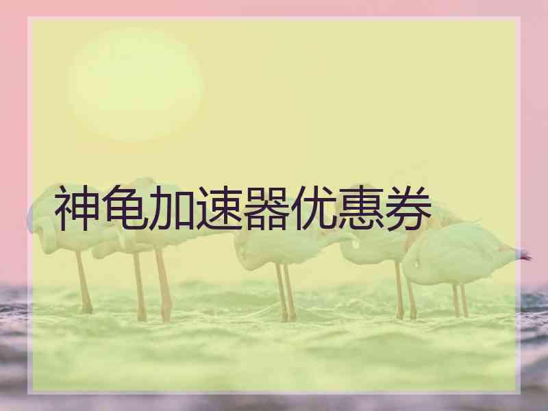 神龟加速器优惠券