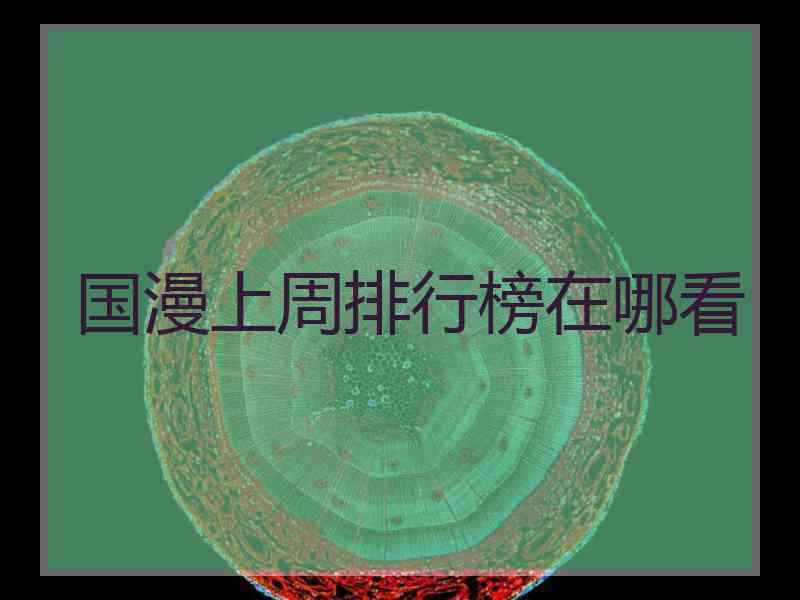 国漫上周排行榜在哪看