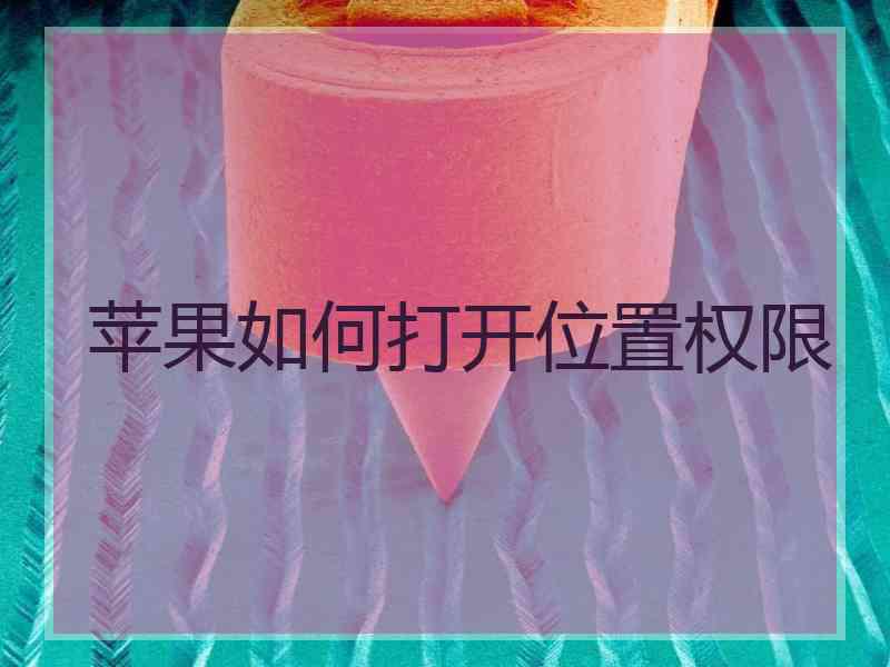 苹果如何打开位置权限
