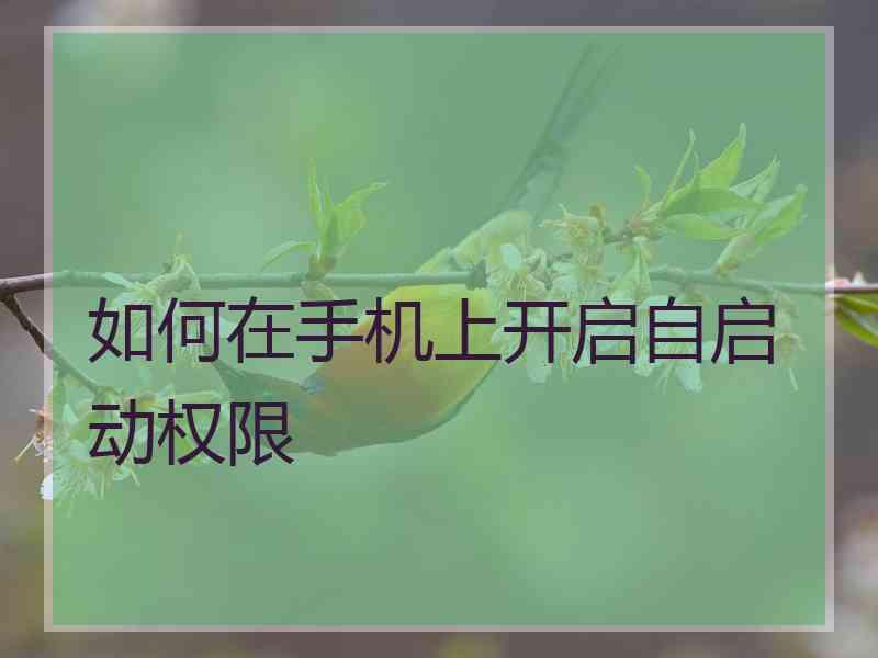 如何在手机上开启自启动权限