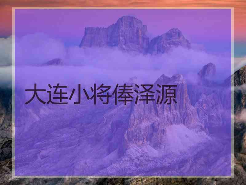 大连小将俸泽源