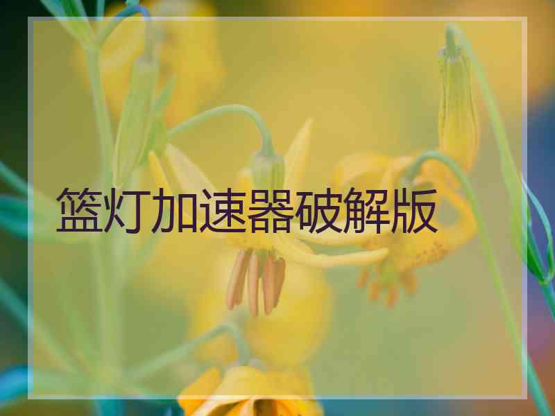 篮灯加速器破解版