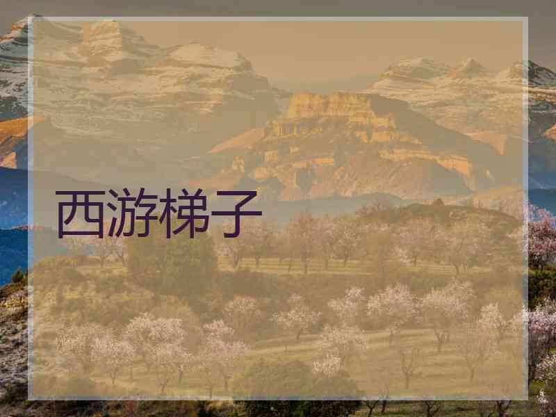 西游梯子