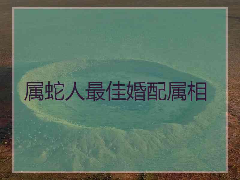 属蛇人最佳婚配属相