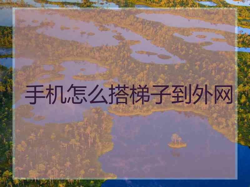 手机怎么搭梯子到外网