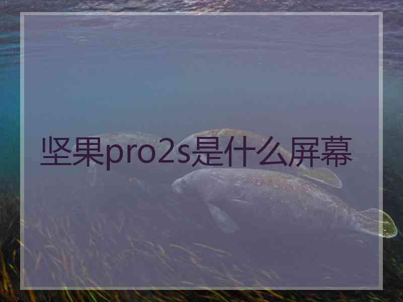 坚果pro2s是什么屏幕