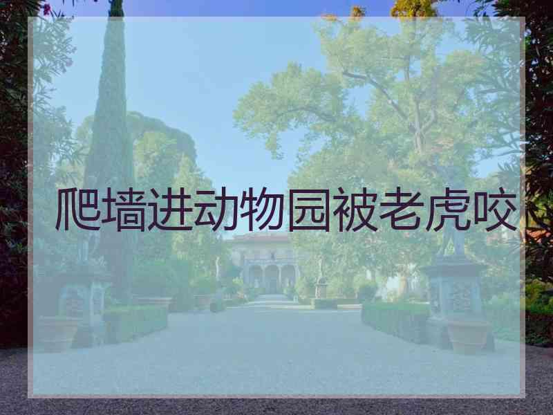 爬墙进动物园被老虎咬