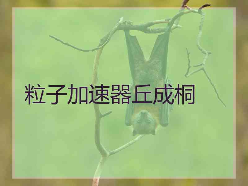 粒子加速器丘成桐