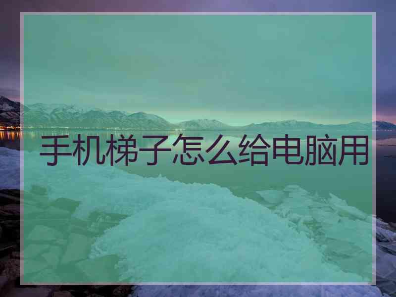 手机梯子怎么给电脑用