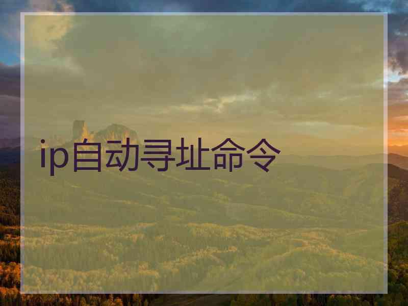 ip自动寻址命令