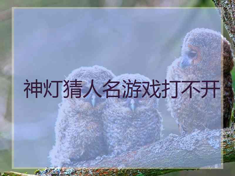 神灯猜人名游戏打不开