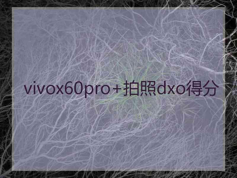 vivox60pro+拍照dxo得分
