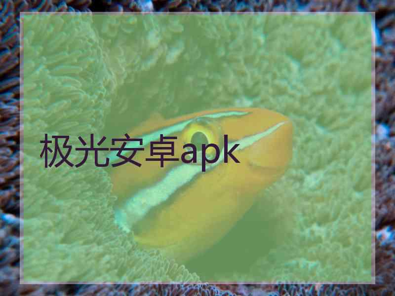 极光安卓apk