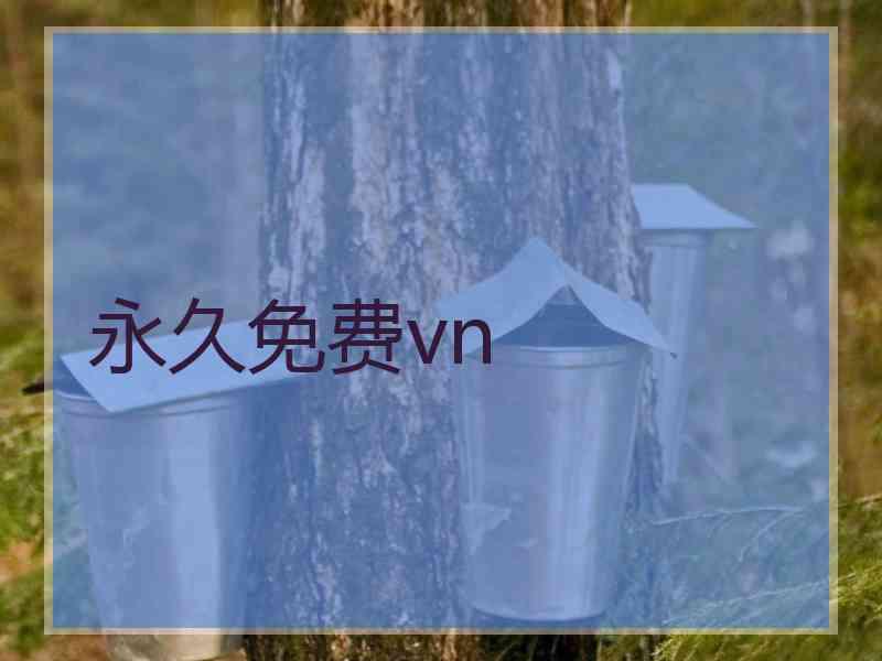 永久免费vn