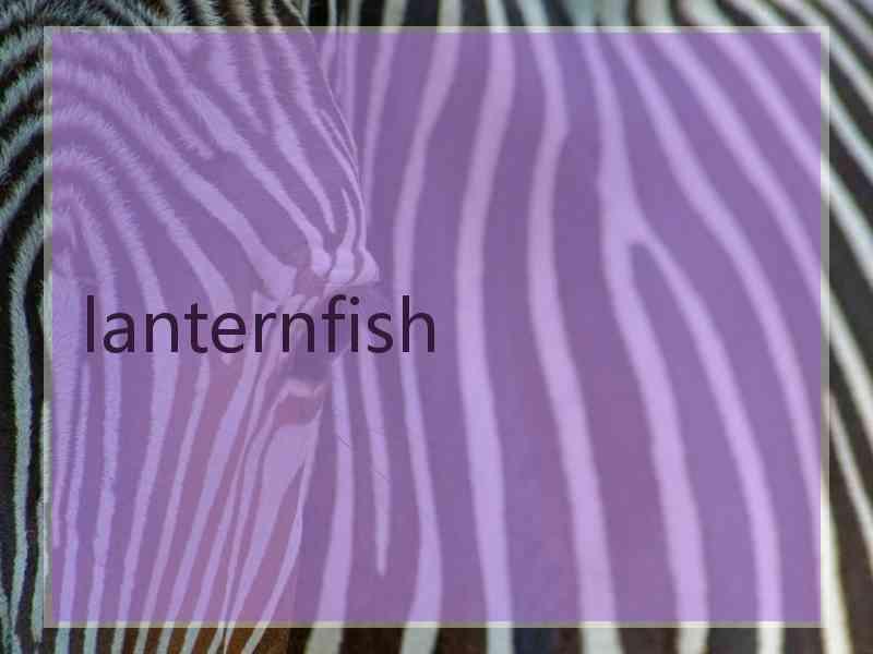 lanternfish