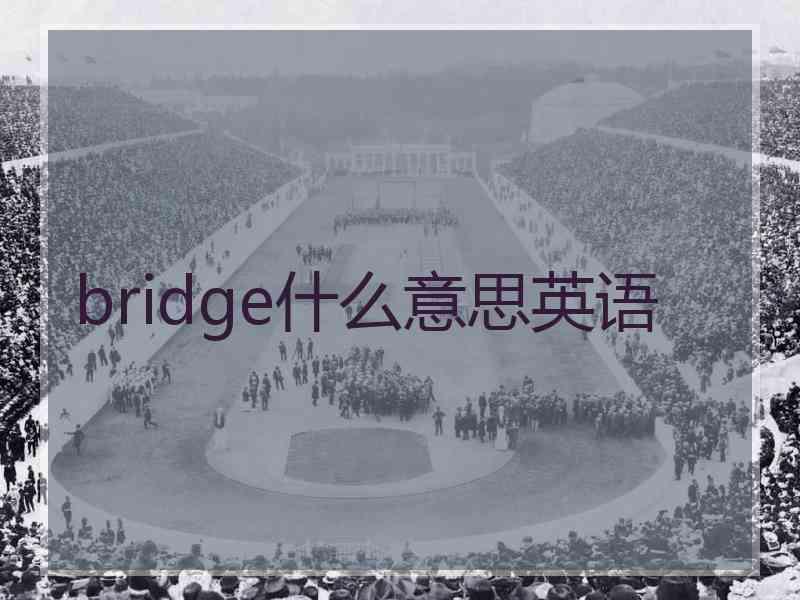 bridge什么意思英语