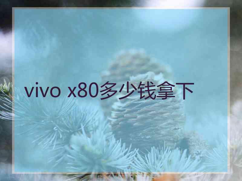 vivo x80多少钱拿下