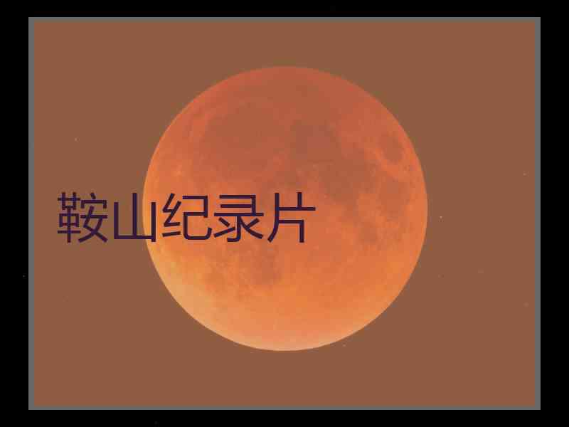 鞍山纪录片