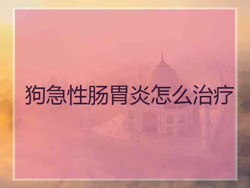 狗急性肠胃炎怎么治疗