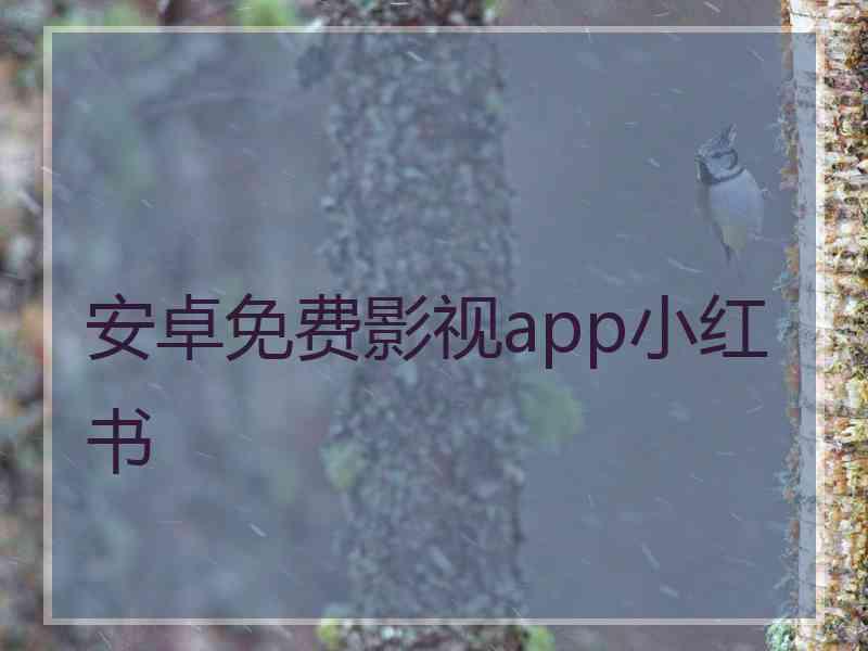 安卓免费影视app小红书