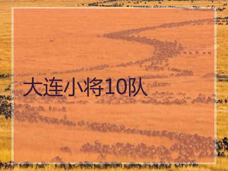 大连小将10队