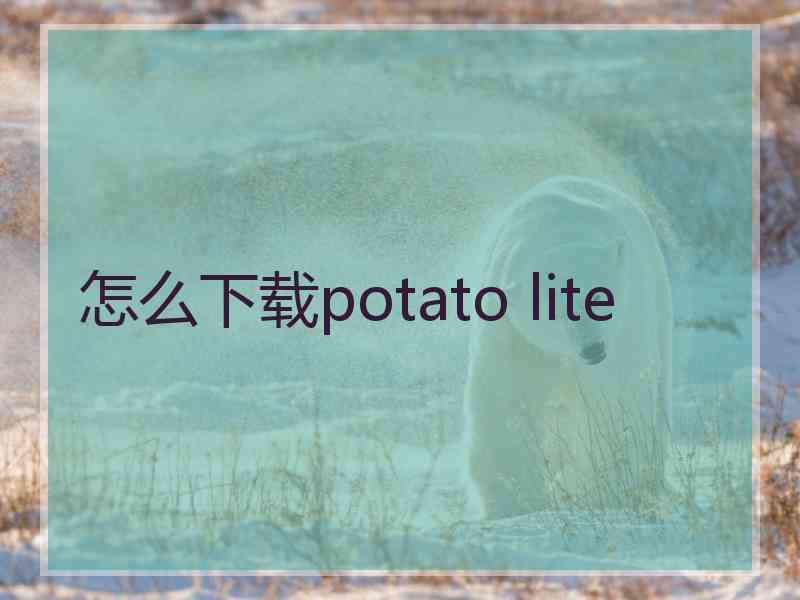 怎么下载potato lite