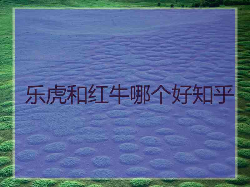 乐虎和红牛哪个好知乎