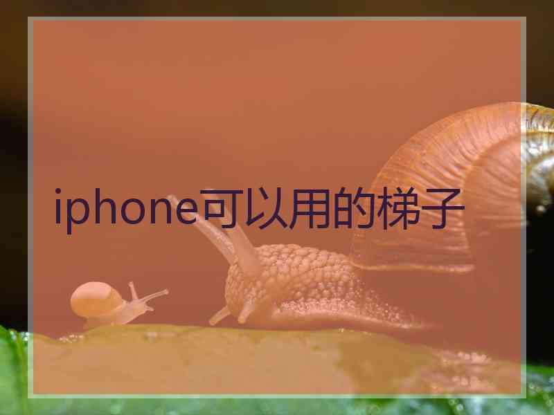 iphone可以用的梯子