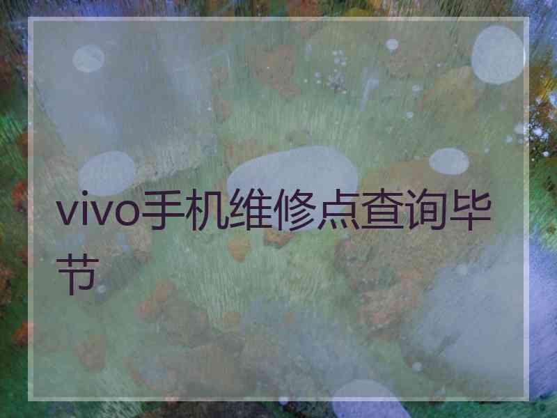 vivo手机维修点查询毕节