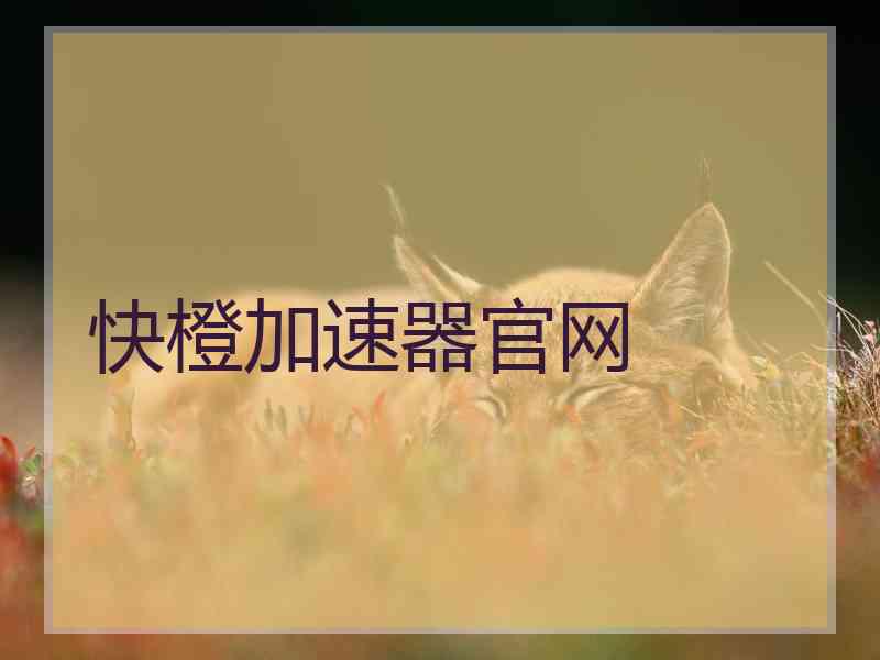 快橙加速器官网